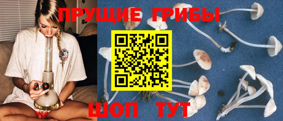 купить  сайты  Галлюциногенные грибы мухоморы  Вход с VPN  Артёмовский 
