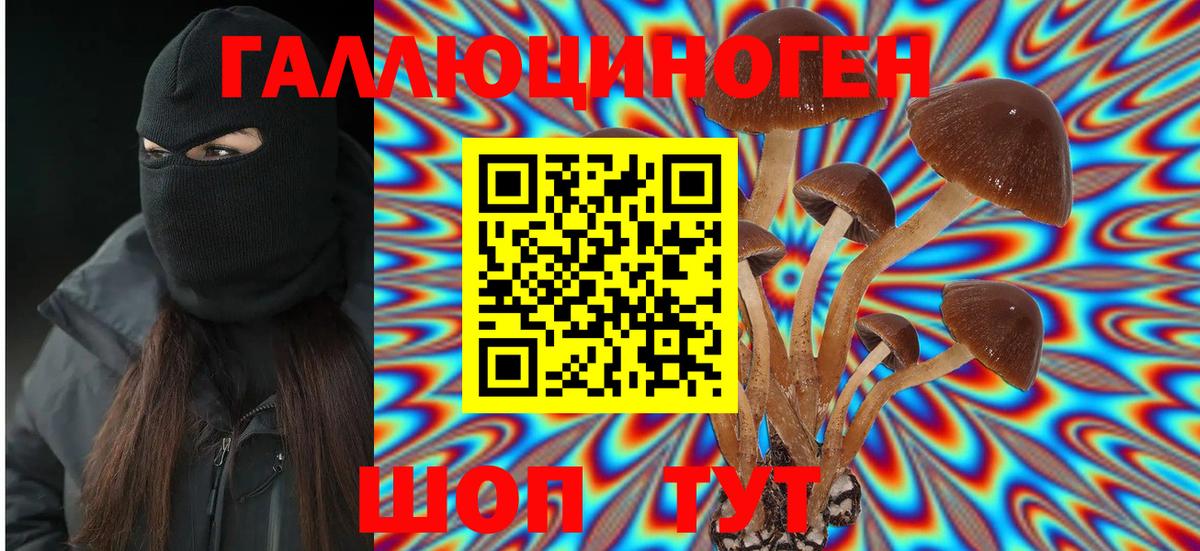 Псилоцибиновые грибы GOLDEN TEACHER Артёмовский